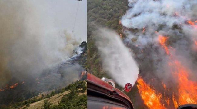 İzmir ve Balıkesir'deki orman yangınları 2'nci gününde